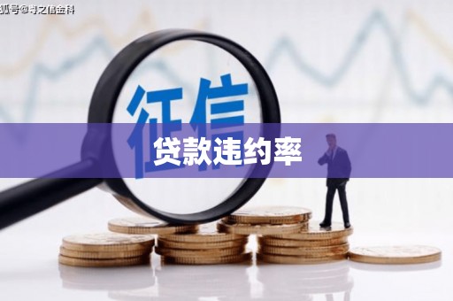 志丹贷款违约率