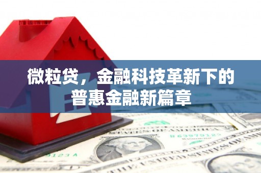志丹微粒贷，金融科技革新下的普惠金融新篇章