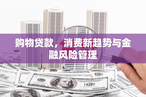 志丹购物贷款，消费新趋势与金融风险管理