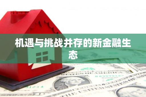 志丹机遇与挑战并存的新金融生态