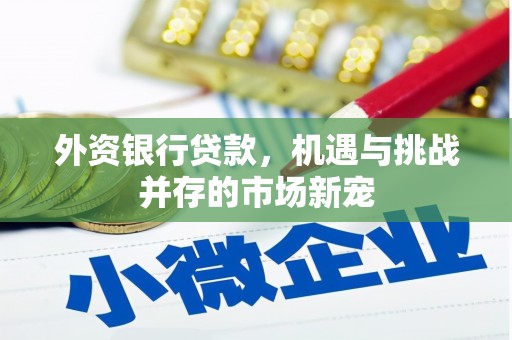 志丹外资银行贷款，机遇与挑战并存的市场新宠