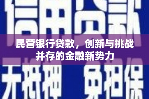 志丹民营银行贷款，创新与挑战并存的金融新势力