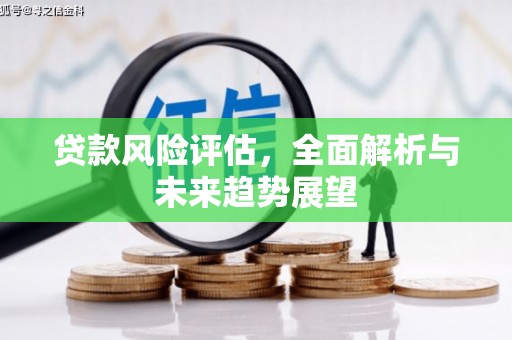 志丹贷款风险评估，全面解析与未来趋势展望