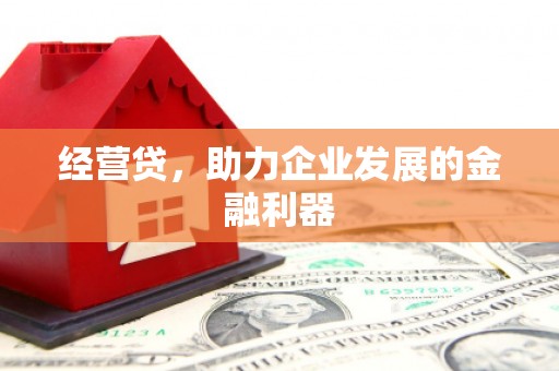 志丹经营贷，助力企业发展的金融利器