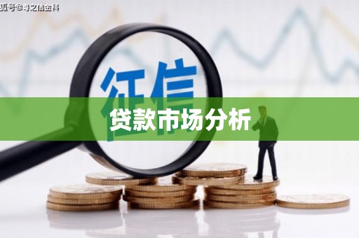 志丹贷款市场分析