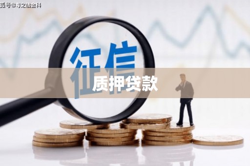 志丹质押贷款