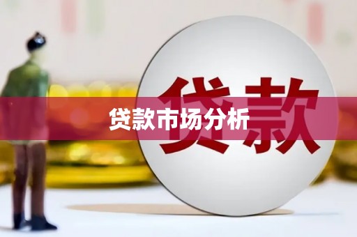 志丹贷款市场分析