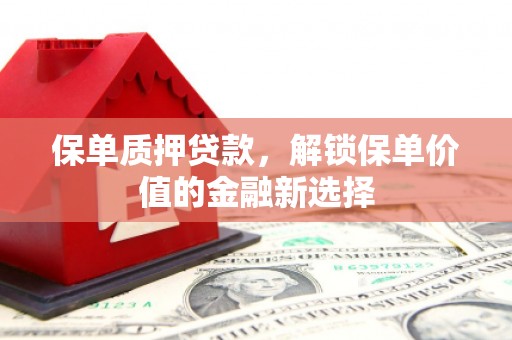 志丹保单质押贷款，解锁保单价值的金融新选择