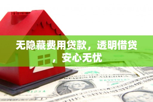 志丹无隐藏费用贷款，透明借贷，安心无忧