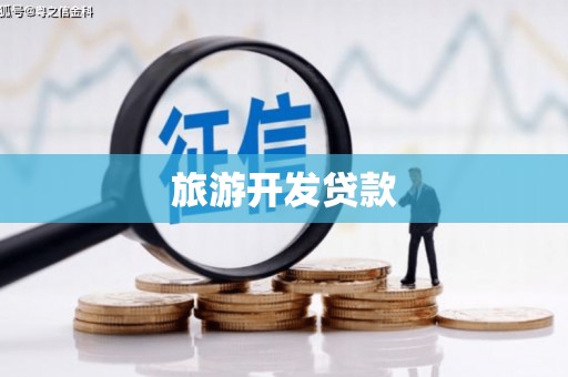 志丹旅游开发贷款