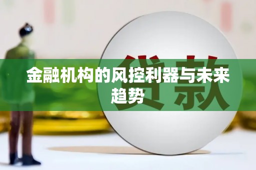 志丹金融机构的风控利器与未来趋势