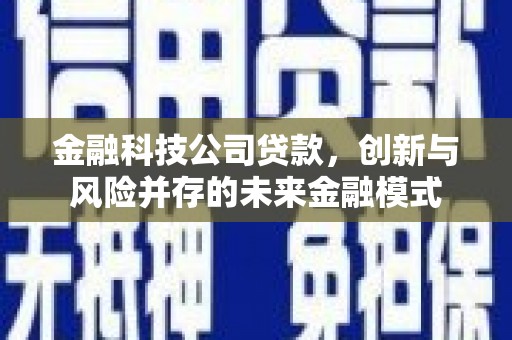 志丹金融科技公司贷款，创新与风险并存的未来金融模式