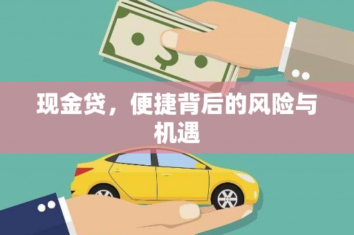 志丹现金贷，便捷背后的风险与机遇