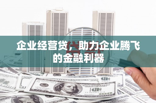 志丹企业经营贷，助力企业腾飞的金融利器