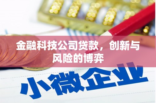 志丹金融科技公司贷款，创新与风险的博弈