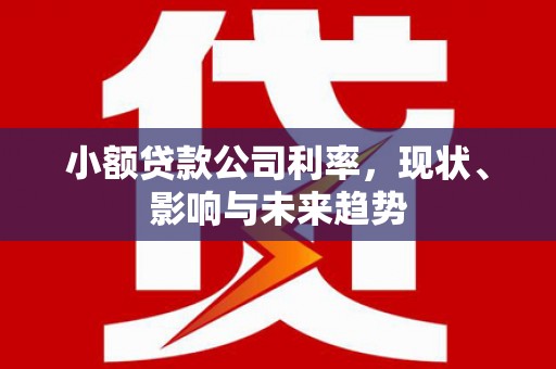 志丹小额贷款公司利率，现状、影响与未来趋势