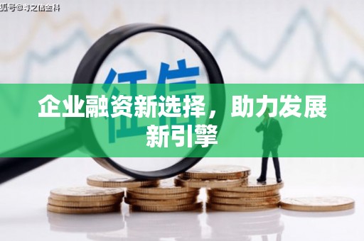 志丹企业融资新选择，助力发展新引擎