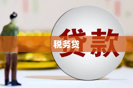 志丹税务贷