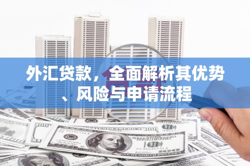 志丹外汇贷款，全面解析其优势、风险与申请流程