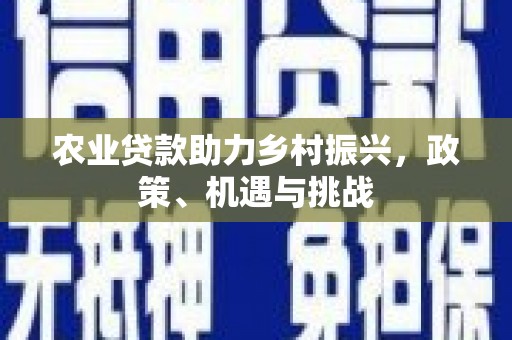 志丹农业贷款助力乡村振兴，政策、机遇与挑战