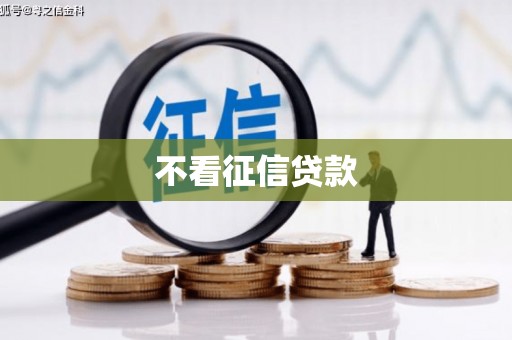 志丹不看征信贷款