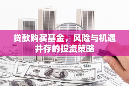 志丹贷款购买基金，风险与机遇并存的投资策略