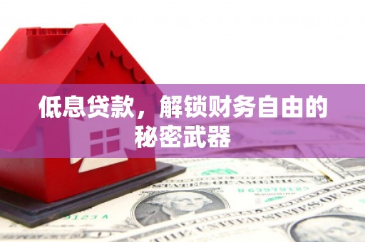 志丹低息贷款，解锁财务自由的秘密武器