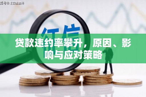 志丹贷款违约率攀升，原因、影响与应对策略