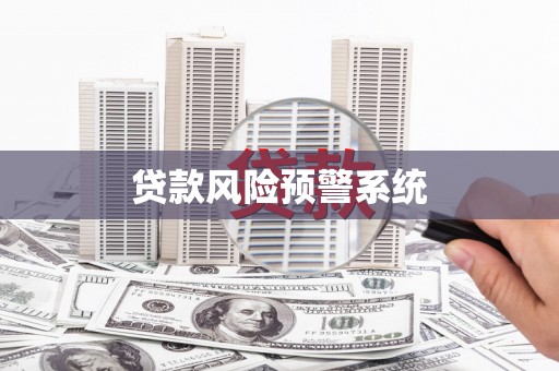 志丹贷款风险预警系统