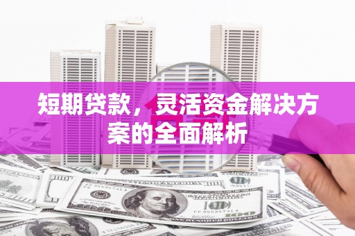 志丹短期贷款，灵活资金解决方案的全面解析