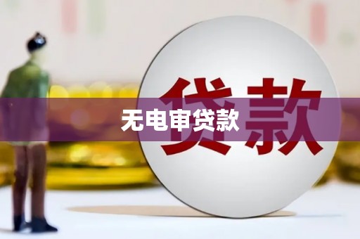 志丹无电审贷款
