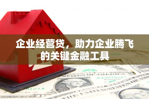 志丹企业经营贷，助力企业腾飞的关键金融工具