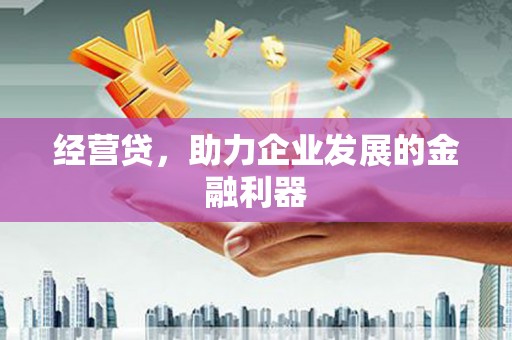 志丹经营贷，助力企业发展的金融利器