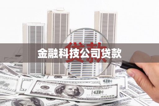 志丹金融科技公司贷款