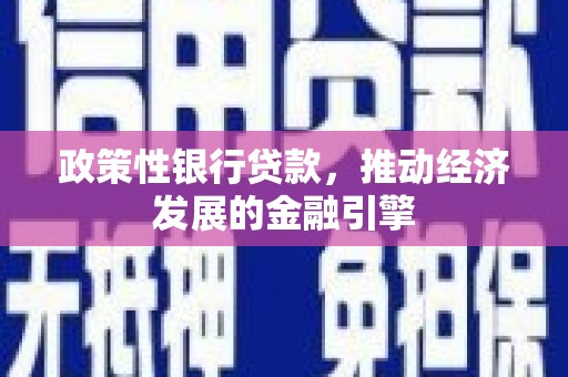 志丹政策性银行贷款，推动经济发展的金融引擎