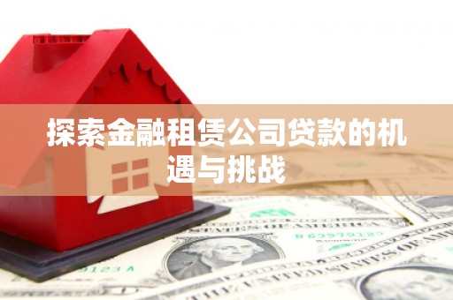 志丹探索金融租赁公司贷款的机遇与挑战