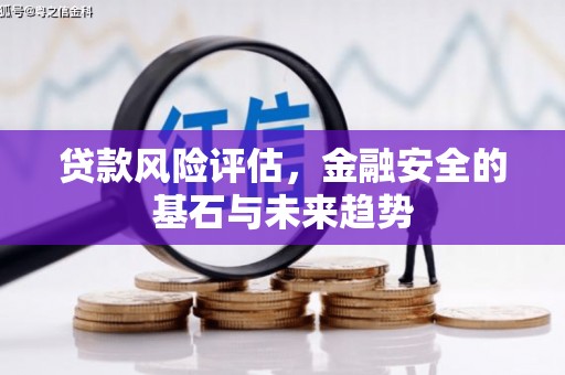 志丹贷款风险评估，金融安全的基石与未来趋势