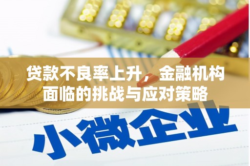 志丹贷款不良率上升，金融机构面临的挑战与应对策略