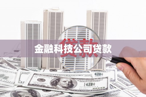 志丹金融科技公司贷款
