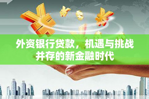 志丹外资银行贷款，机遇与挑战并存的新金融时代