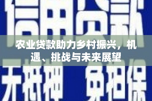 志丹农业贷款助力乡村振兴，机遇、挑战与未来展望