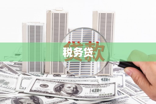 志丹税务贷