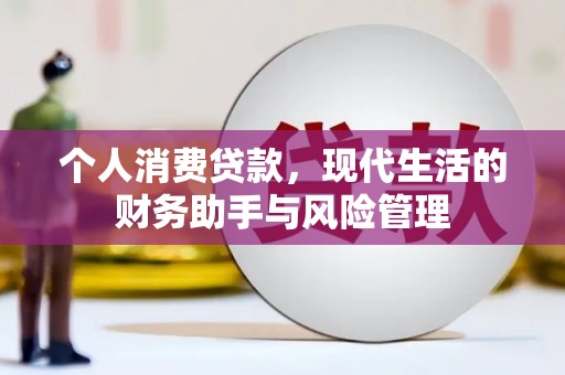 志丹个人消费贷款，现代生活的财务助手与风险管理