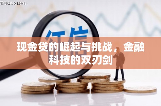 志丹现金贷的崛起与挑战，金融科技的双刃剑