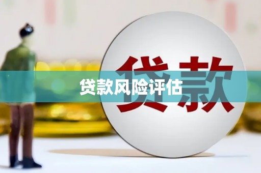 志丹贷款风险评估