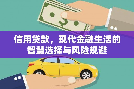 志丹信用贷款，现代金融生活的智慧选择与风险规避