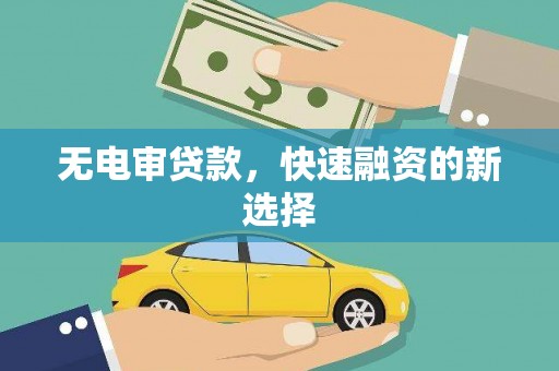 志丹无电审贷款，快速融资的新选择
