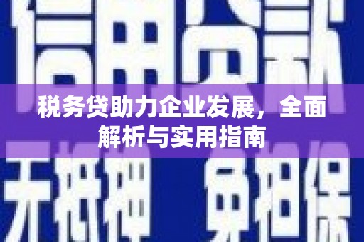 志丹税务贷助力企业发展，全面解析与实用指南