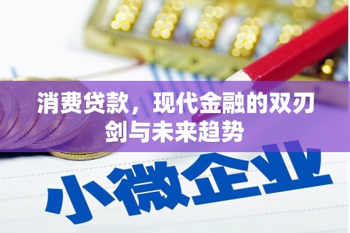 志丹消费贷款，现代金融的双刃剑与未来趋势