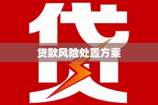 志丹贷款风险处置方案